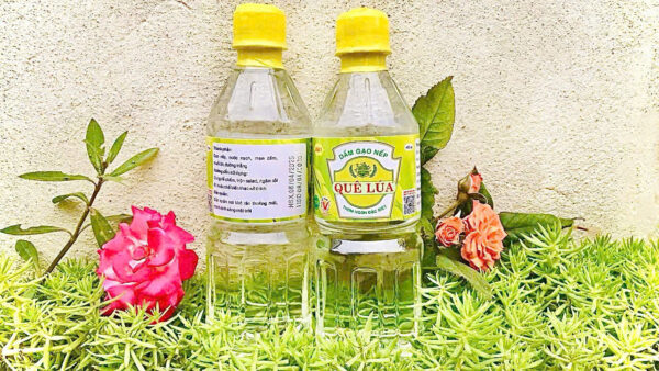 Dấm gạo nếp quê lúa